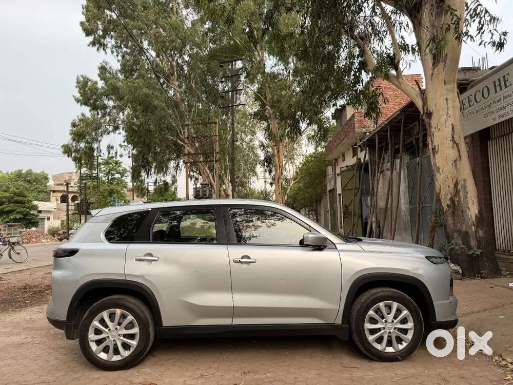 Grand Vitara 2023 Sigma Mt