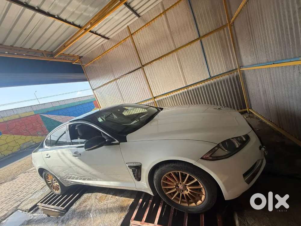 Jaguar 2014