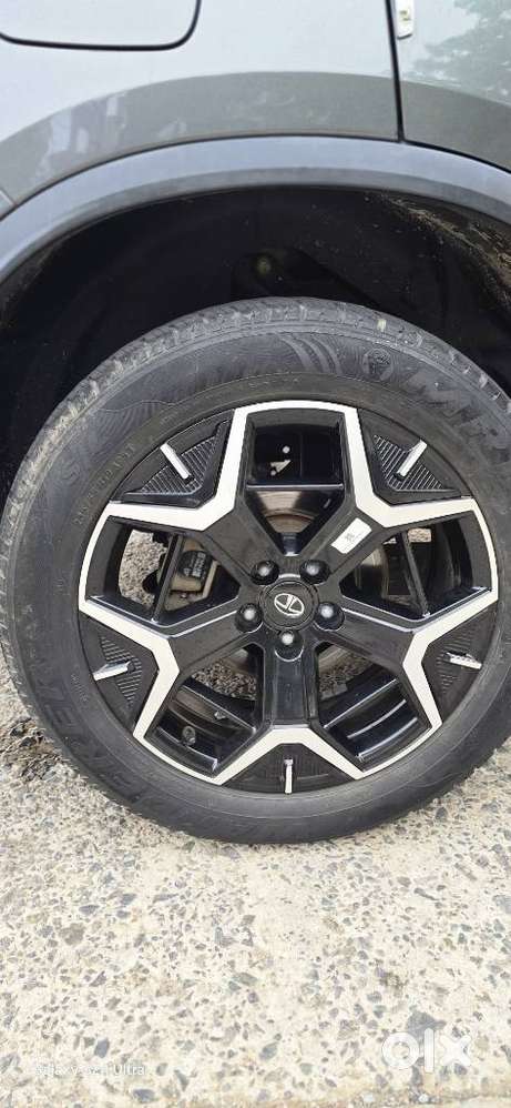 Tata Safari Accomplished X Plus 6 Str, 2023, Diesel