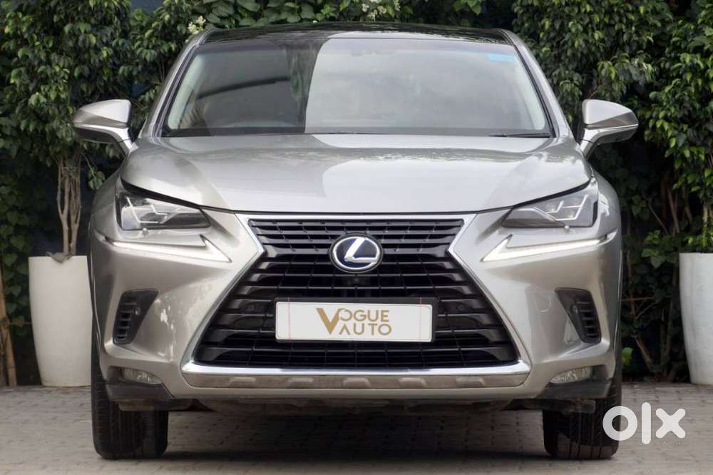 Lexus Nx Lexus-nx-300h-luxury, 2019, Petrol