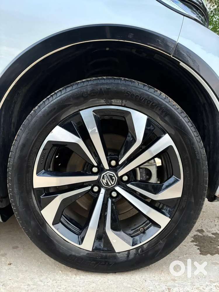 Mg Windsor Ev, 2025, Electric