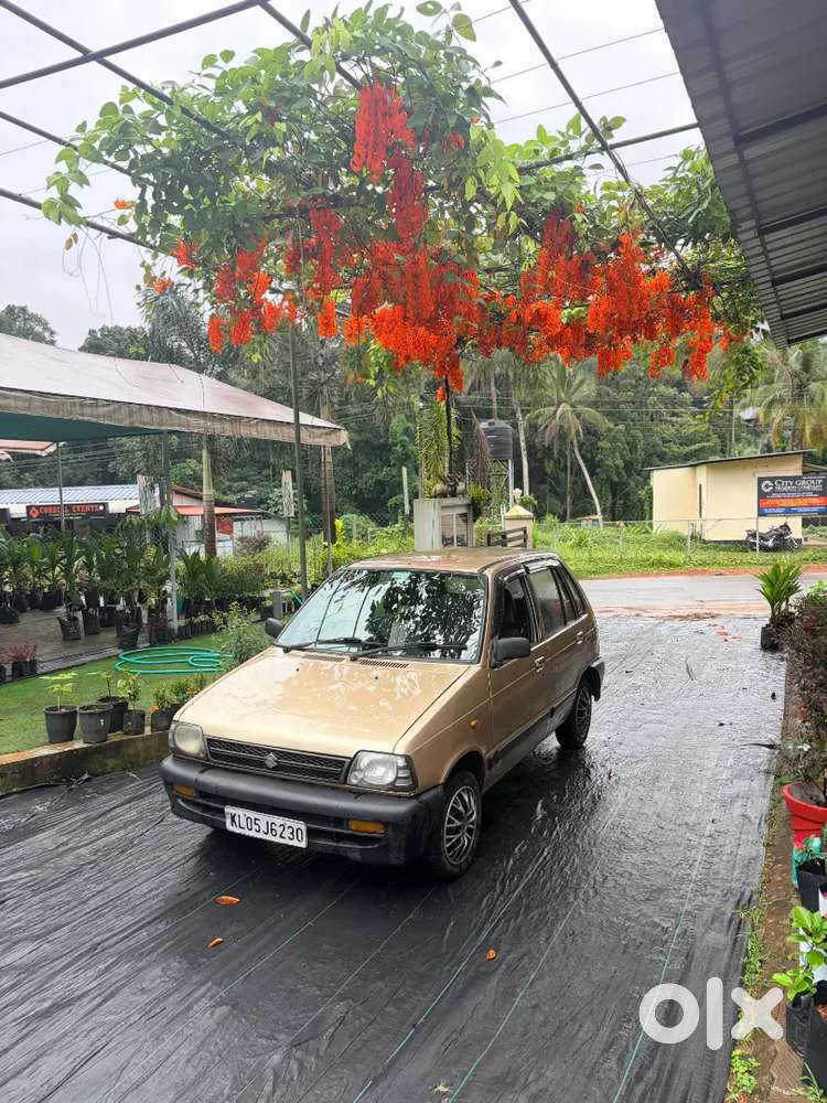 Maruti Suzuki 800 2000