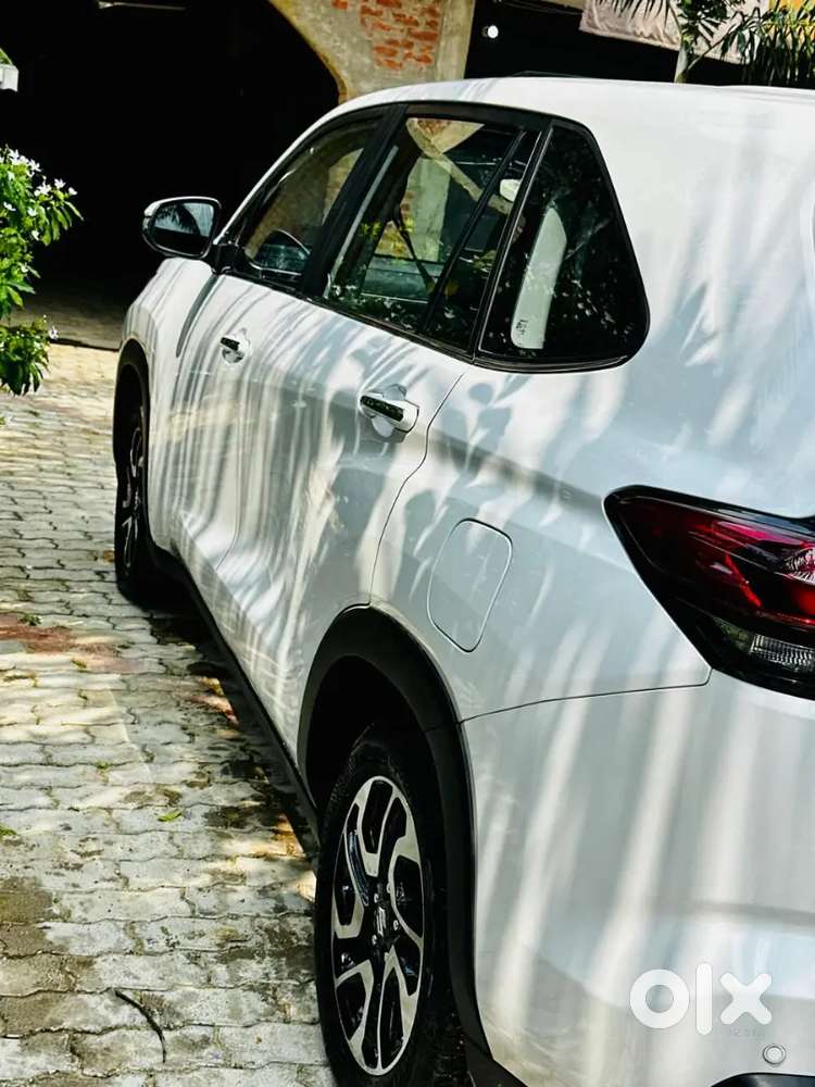 Maruti Suzuki Invicto 2025 Petrol 19000 Km Driven