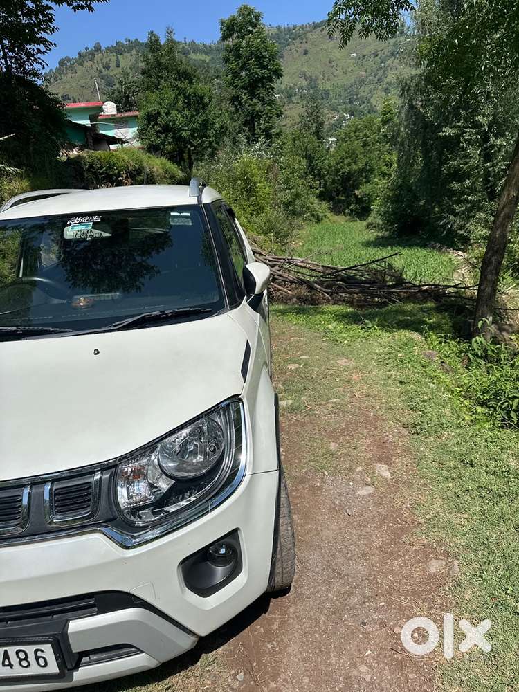 Maruti Suzuki Ignis Petrol 2020