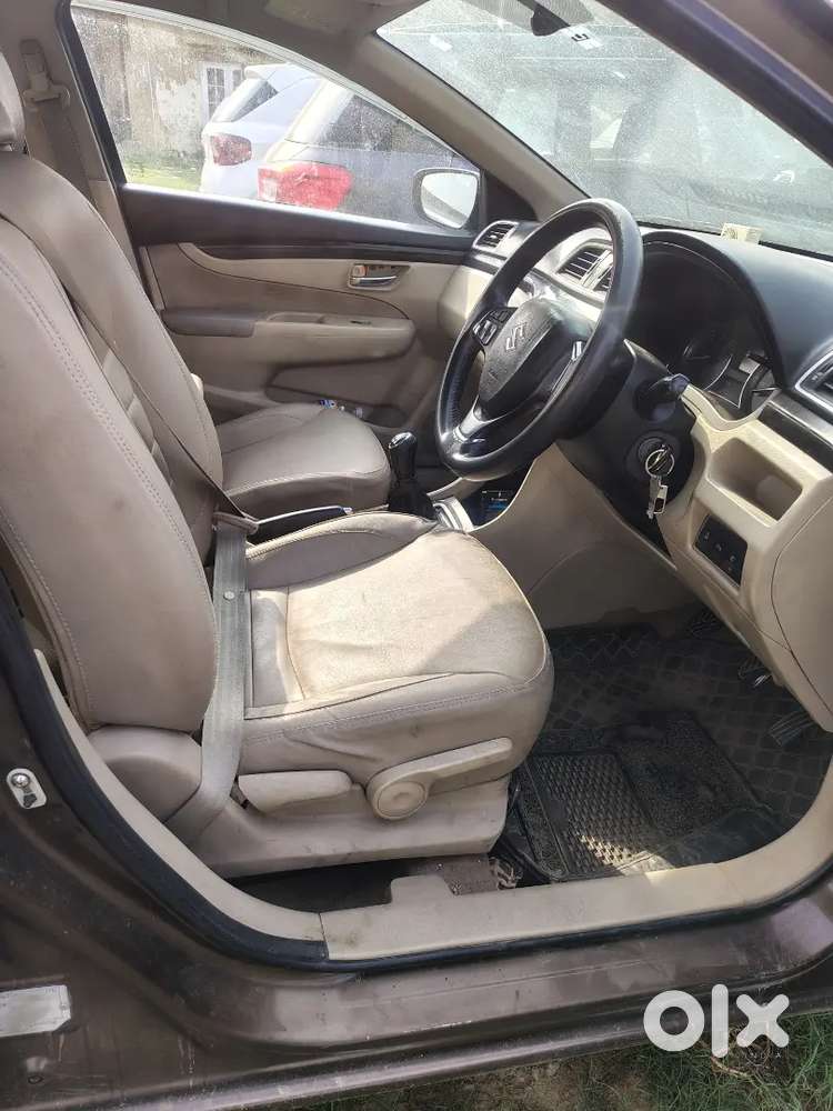 Ciaz Zdi Shvs Diesel 2016