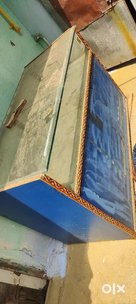 Shop Furniture & Glass Display Counter for Sale &ndash; Good Condition