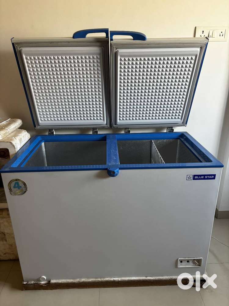 Blue Star CHF300 Double Door Deep Freezer-284 L | Excellent Condition