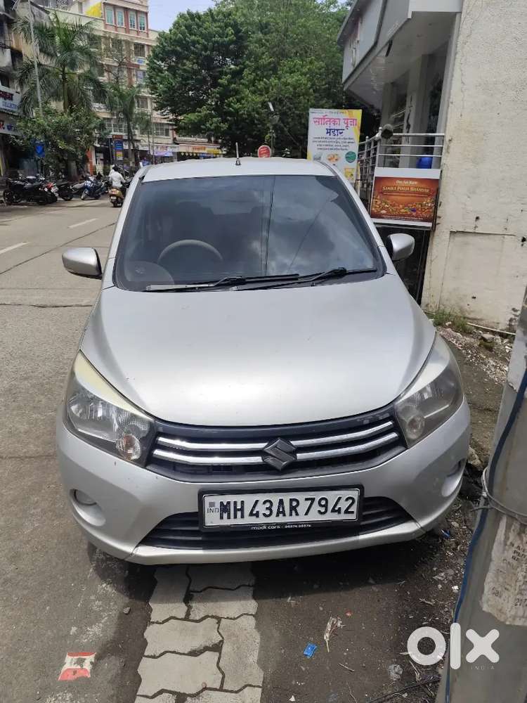 Mint Condition Celerio