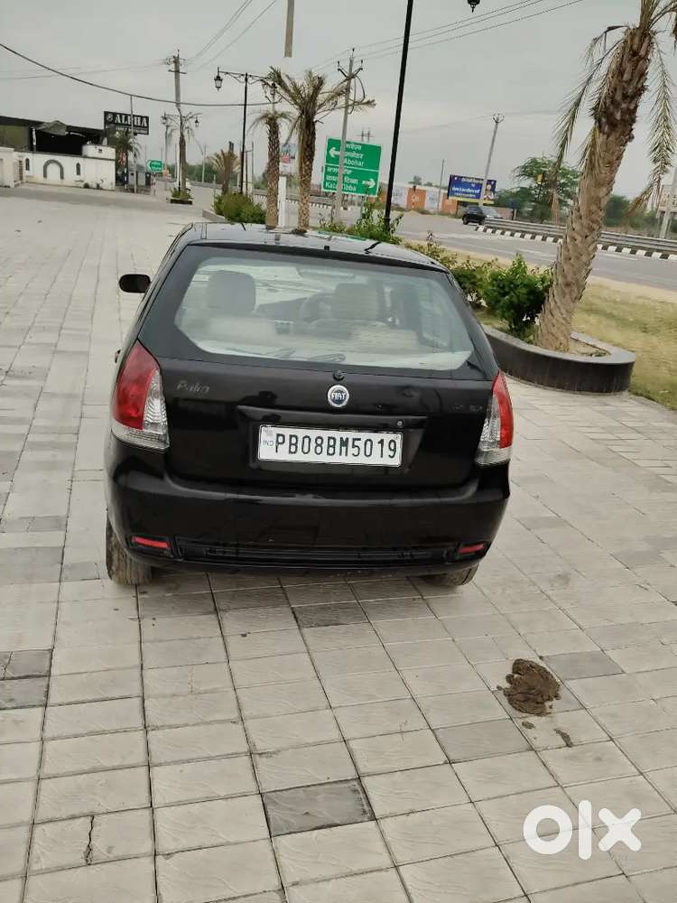 Fiat Palio All Ok All Original Black Colour Punjab Number