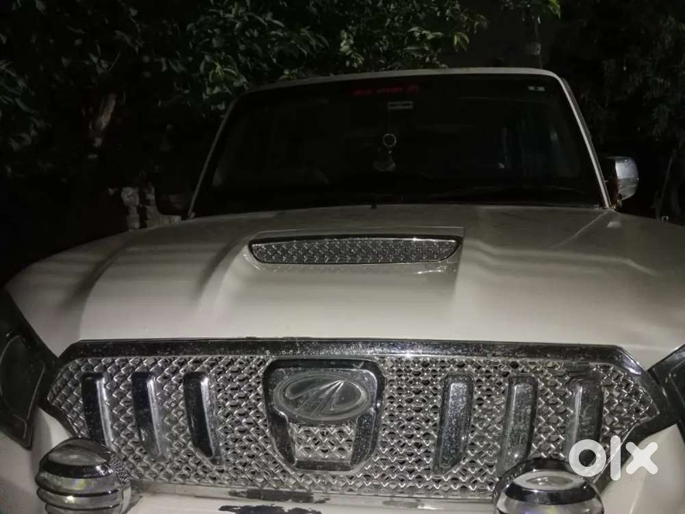 New Lena Hai