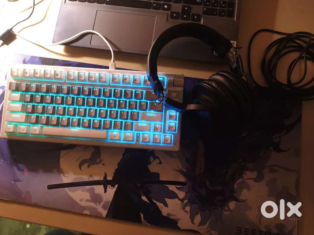 EVOFOX RONIN mechanical keyboard and ATH M20x wired headphones