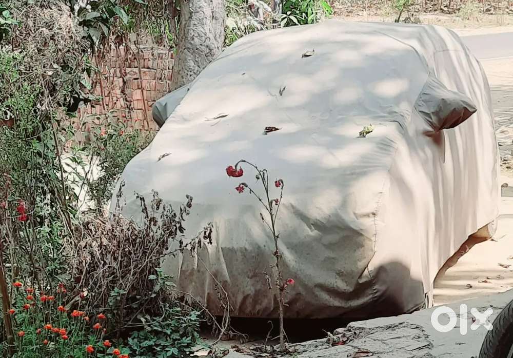 Hyundai Eon 2016 Petrol 71626 Km Driven