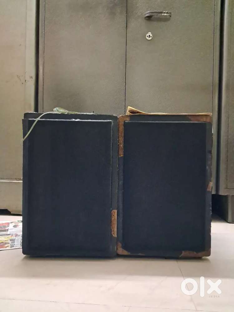 Woodden Speakers