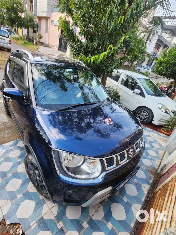 Maruti Suzuki Ignis 2022 Cng & Hybrids 42000 Km Driven