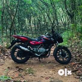 Buy Sell Second Hand Pulsar 150 2010 in India Used Motorcycles in India OLX