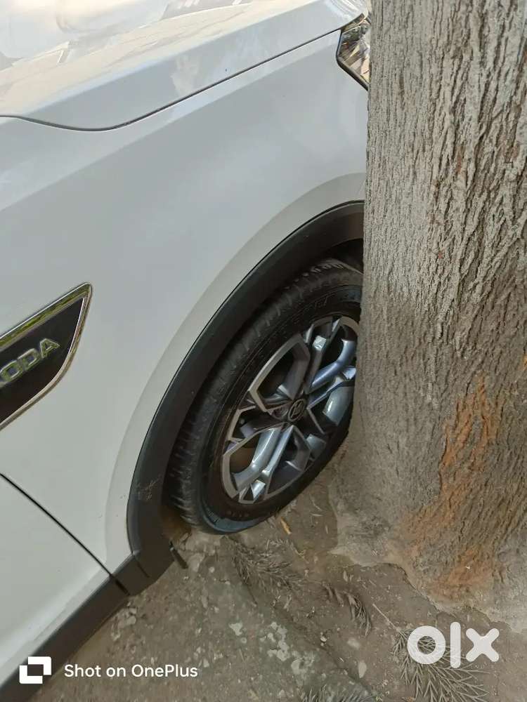 Skoda Kushaq 2023 Petrol Well Maintained