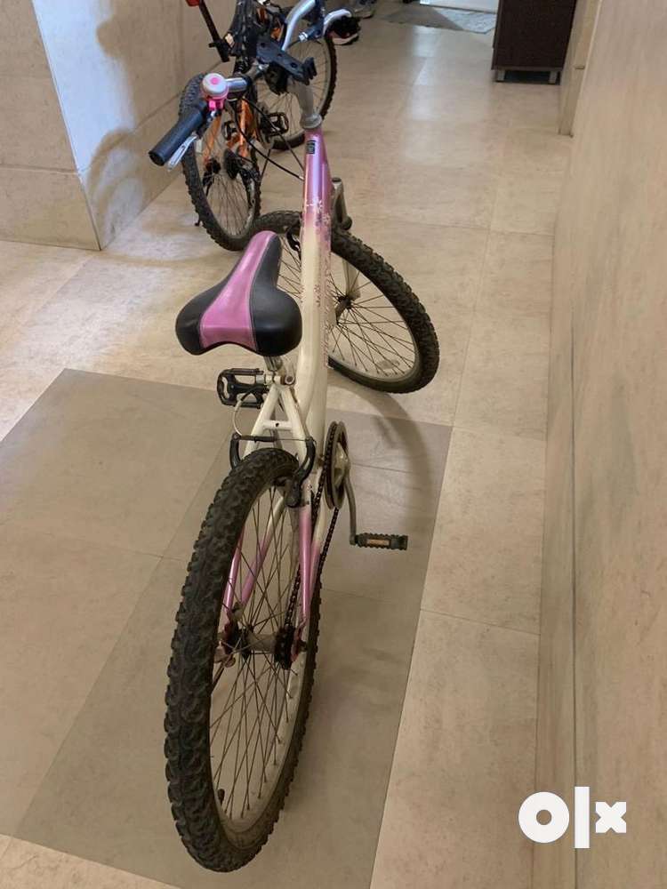 Firefox cycle Bicycles 1754402658