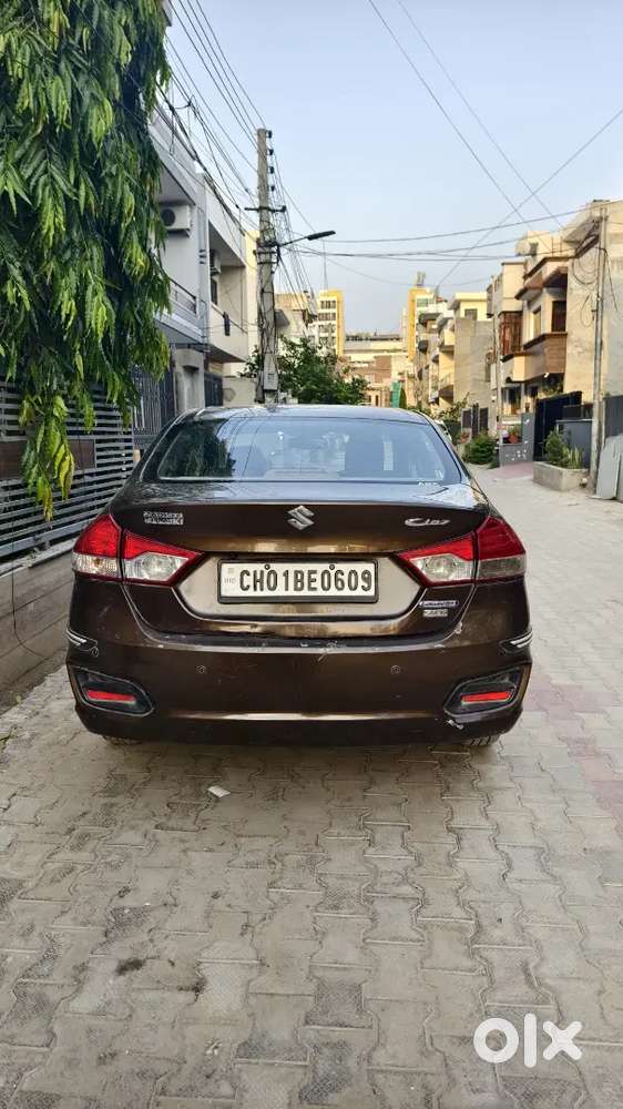 Ciaz Zdi  2015