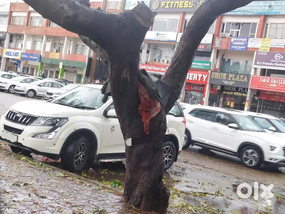 Army Family Women Driven Xuv500