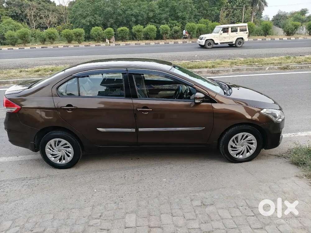 Ciaz Hybrid Optinal
