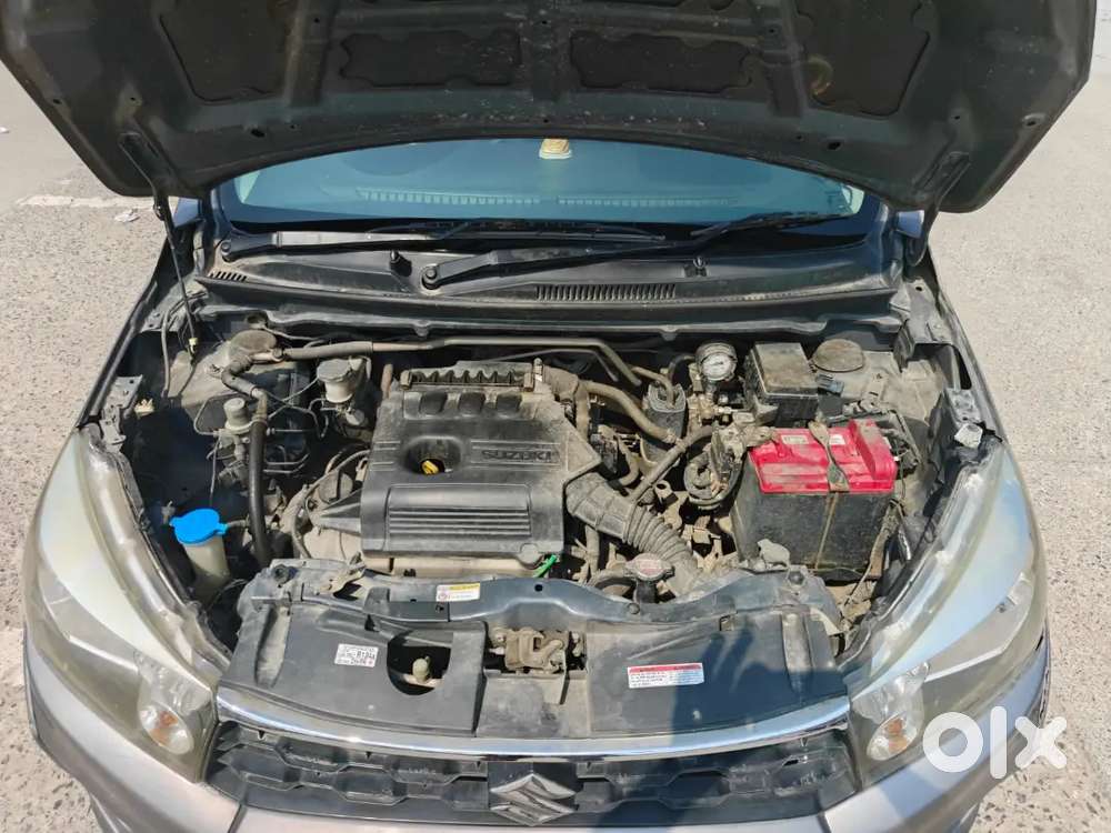 Celerio 1st Owner Company Fitted Cng