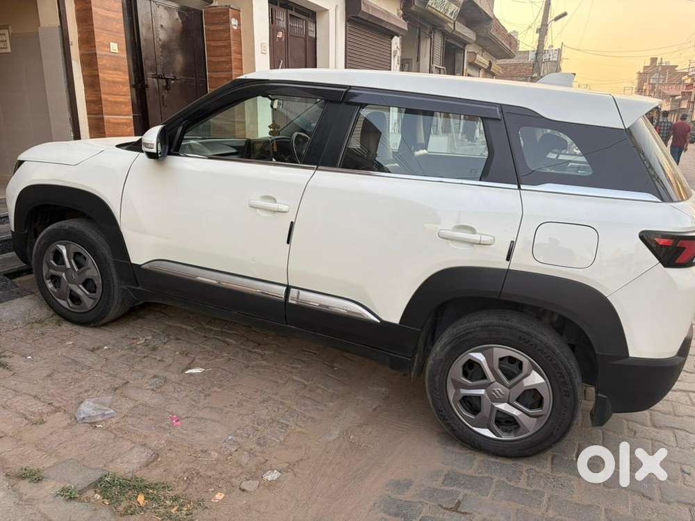 Maruti Suzuki 2023 Car