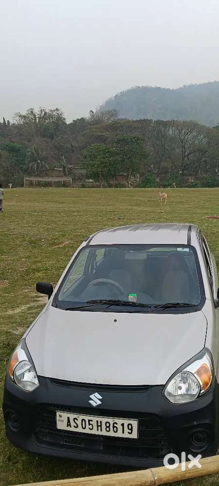 Maruti Suzuki Alto 800 2017 Petrol Well Maintained