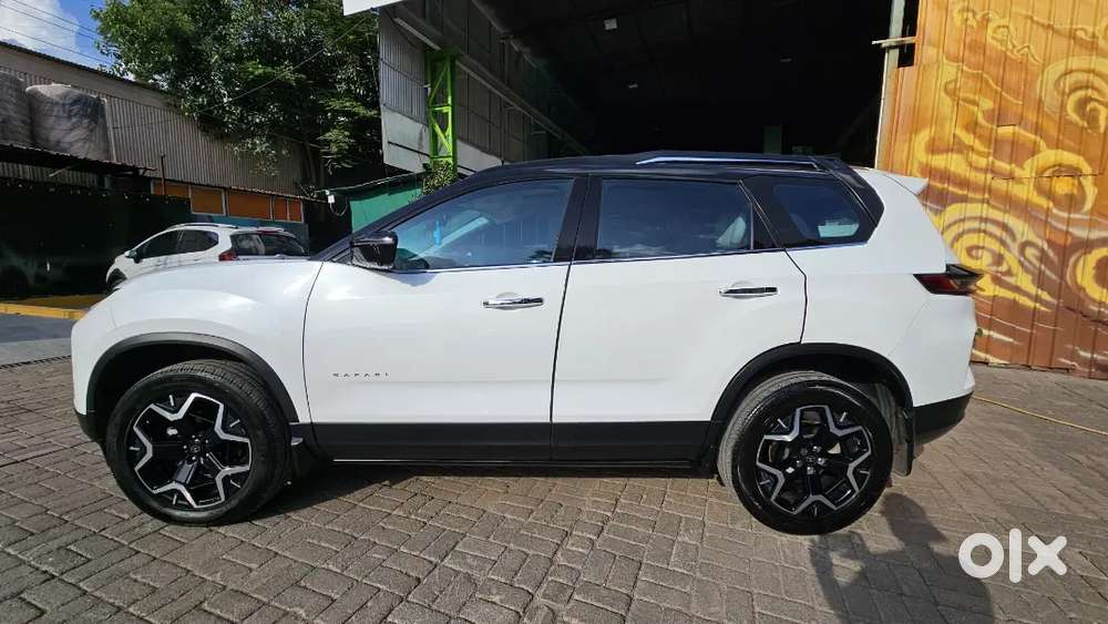 2024 Safari Diesel Accomplished Plus 7 Seater
