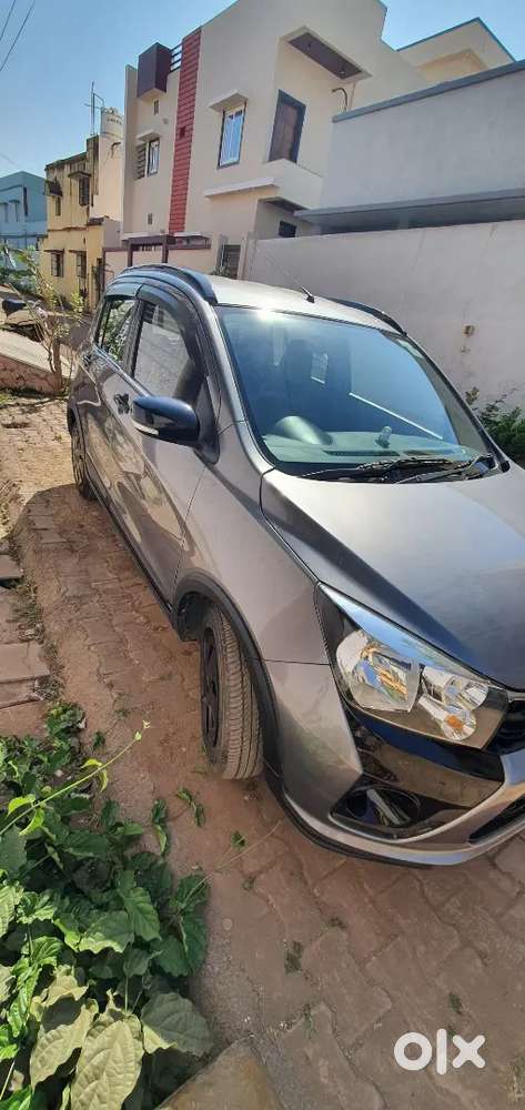 Maruti Suzuki Celerio 2019 Automatic Zxi