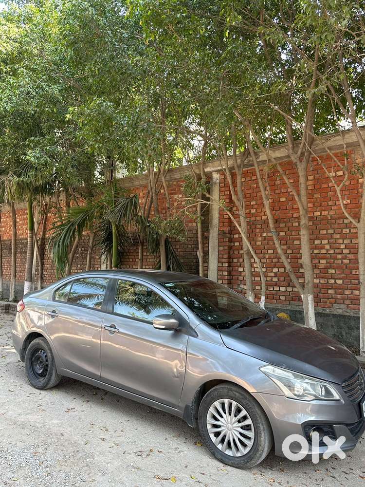 Maruti Suzuki Ciaz 2016 Diesel Well Maintained