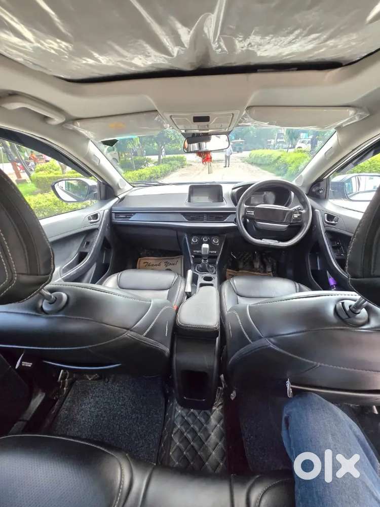 Tata Nexon Petrol Plus Icng 2025