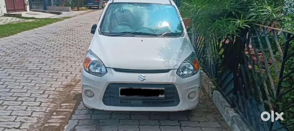 Maruti Suzuki Alto 800 2017