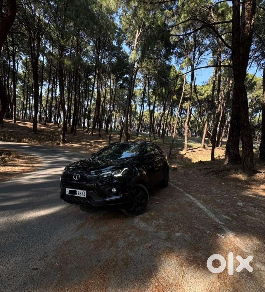 Top Of The Line Modle