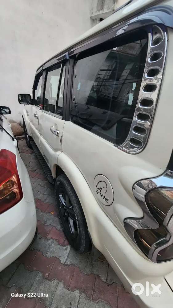 Neat N Clean Full Superb