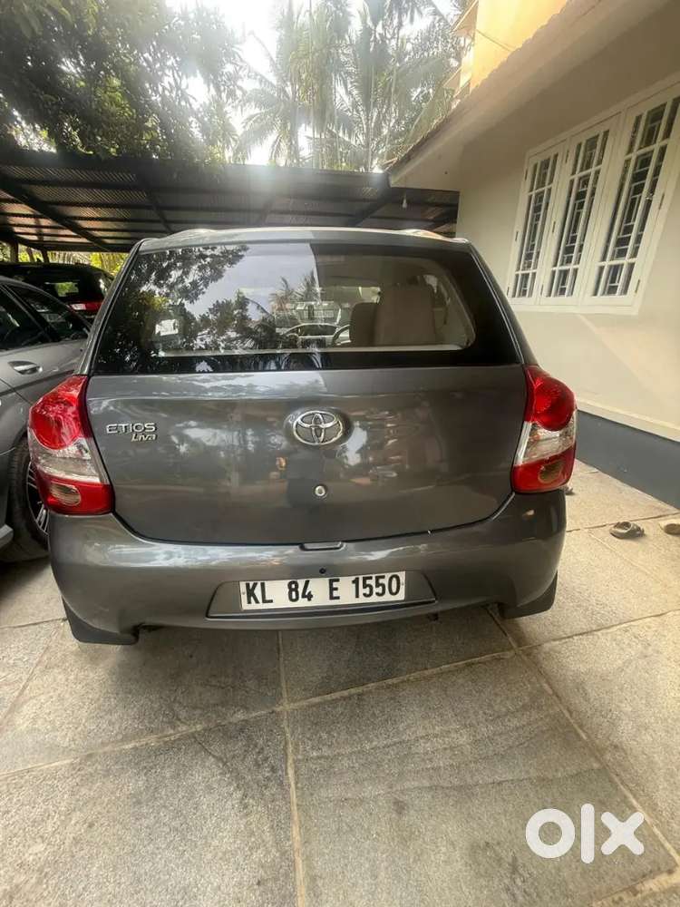 High Quality New Shep Platinum Upgrade I