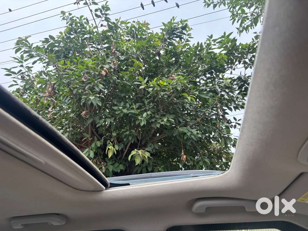 Mahindra Tuv 300 2025 Green