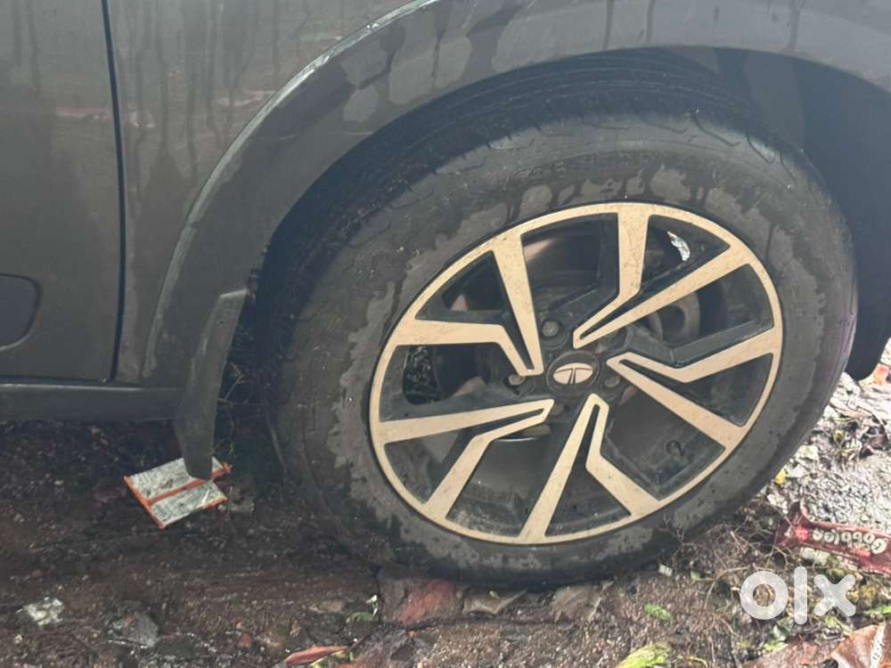 Tata Nexon Petrol 2024