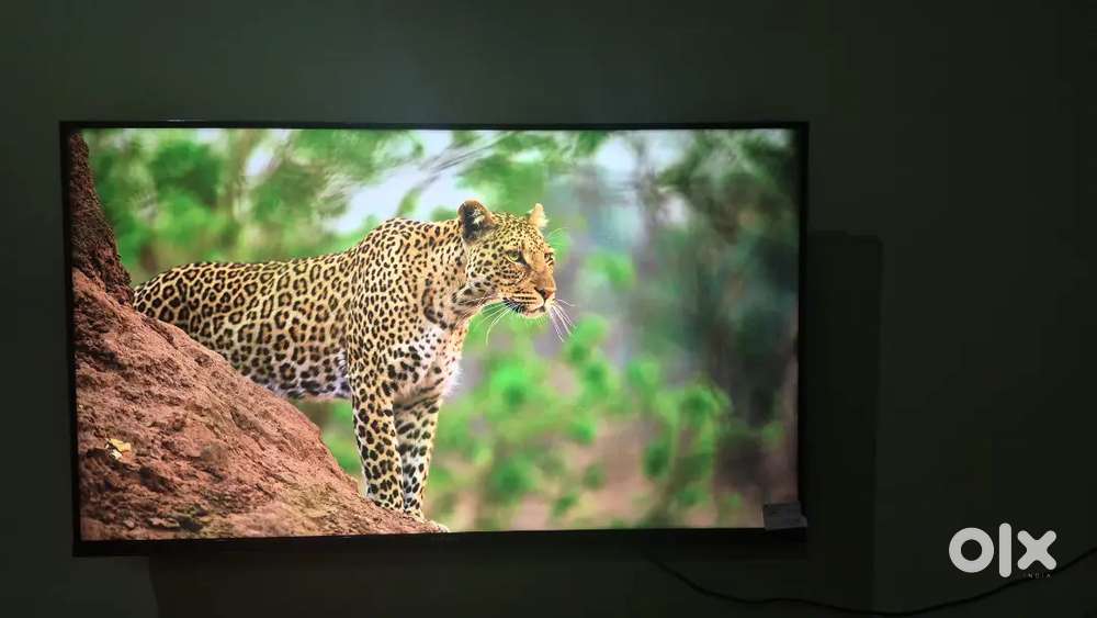 Infinix
109 cm (43 inch) QLED Ultra HD (4K) Smart Google TV (43GU3Q)