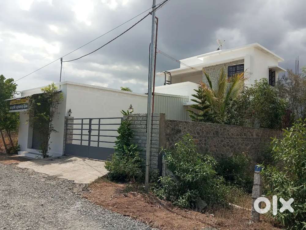 Individual house for rent - For Rent: Houses & Apartments in ...