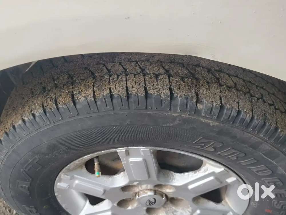 Xylo E8 M Eagle 2 Wd 8s Bs4