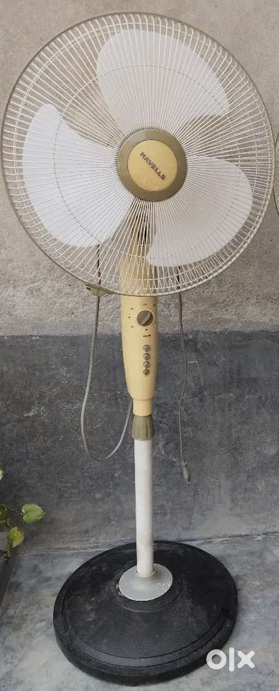 Havells Pedestal  Standing Fan