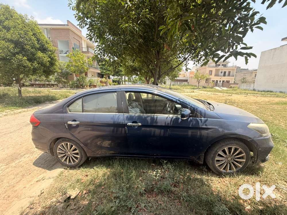 2018 Maruti Ciaz Alpha Year