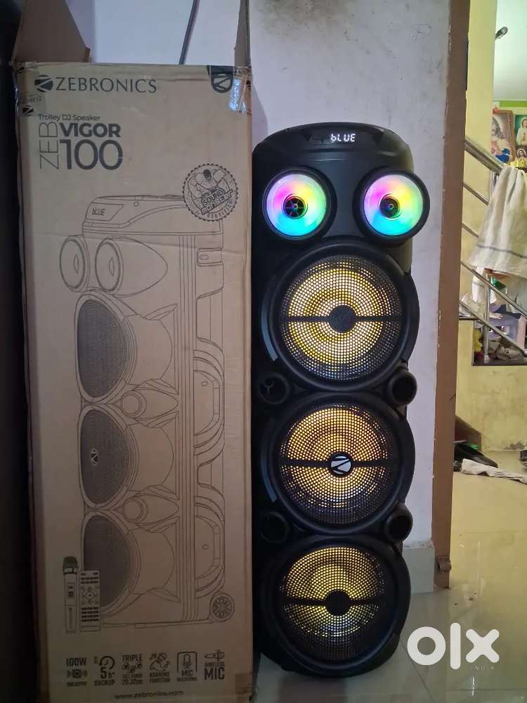 Party speaker
