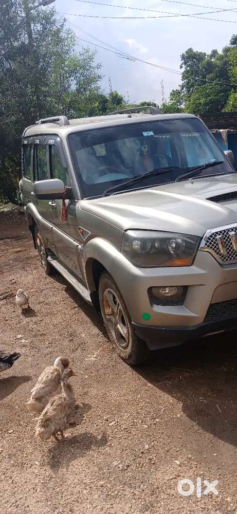 Good Condition New Bettary