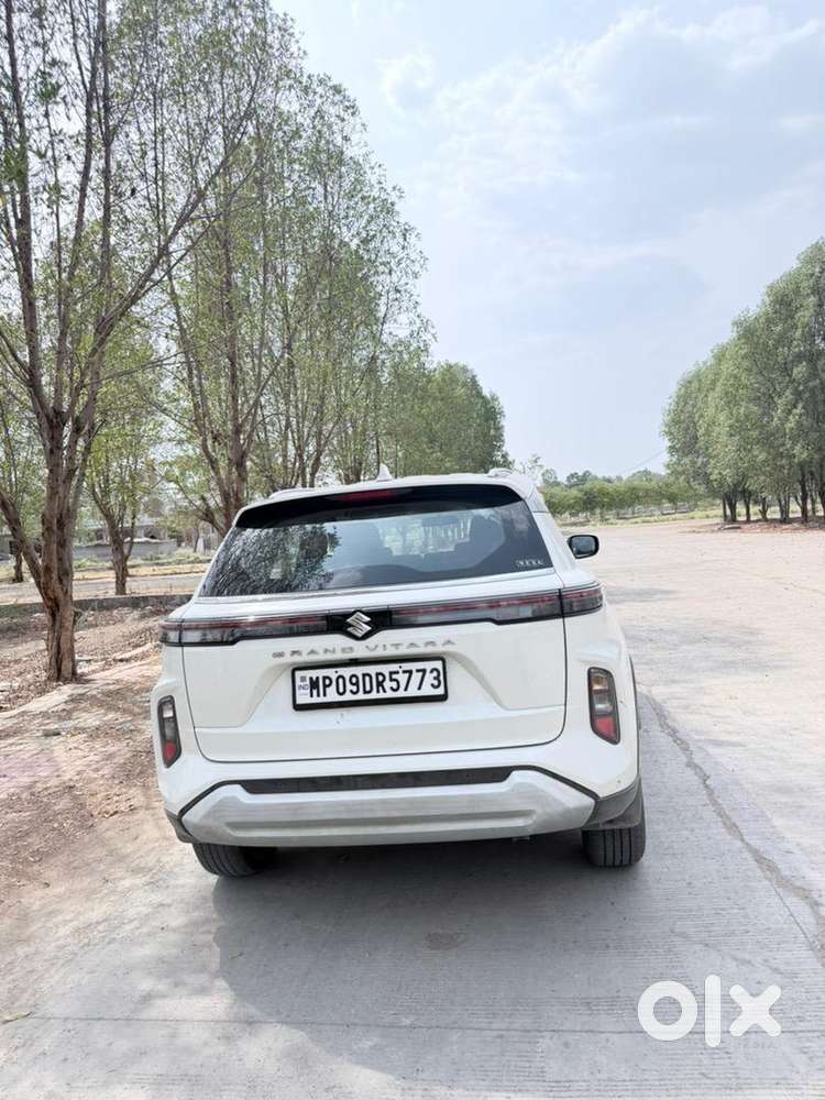 Maruti Suzuki Hybrid 2024