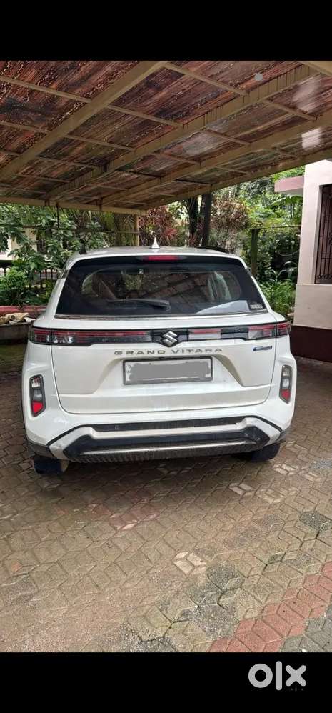 Maruti Suzuki Grand Vitara 2024