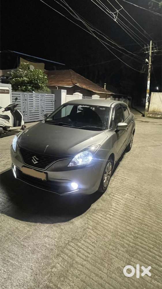 Excellent Body Condition