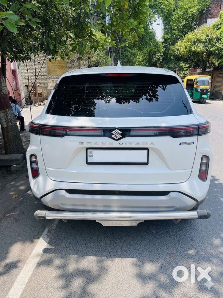 Maruti Suzuki 2022 Year