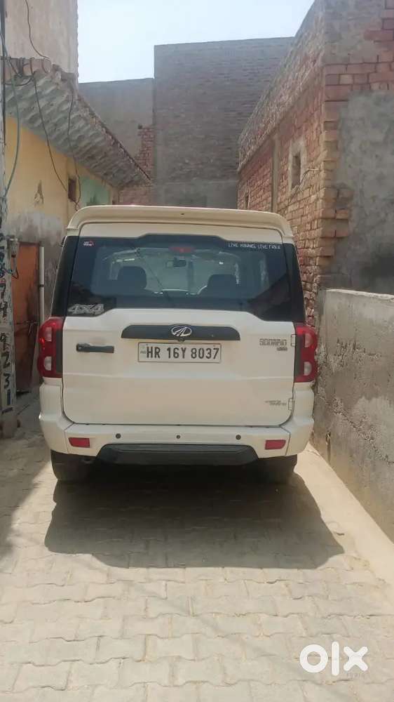 I Sell Scorpio Contact Me