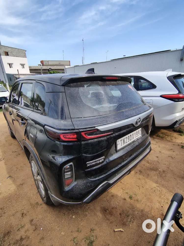 Toyota Urban Cruiser 2024